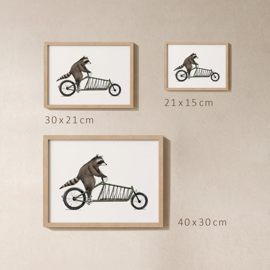 POSTER | Kunstdruck | Waschbär Rico