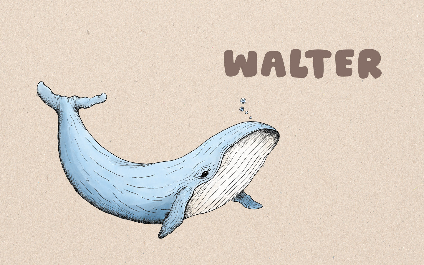 Walter