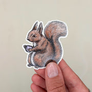 STICKER | Eichhörnchen Fritz - transparent