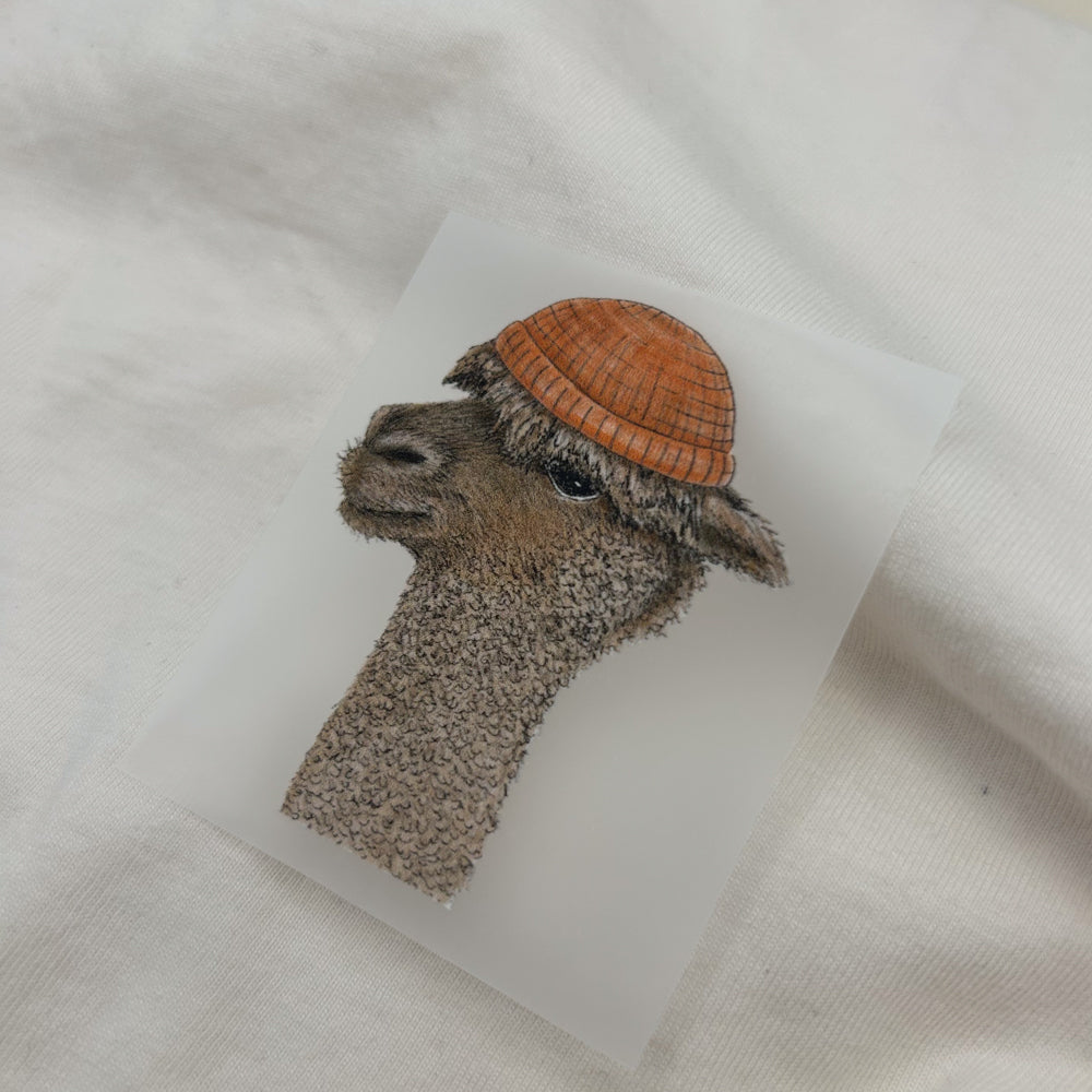 BÜGELBILD | Alpaka Ingo - Kopf