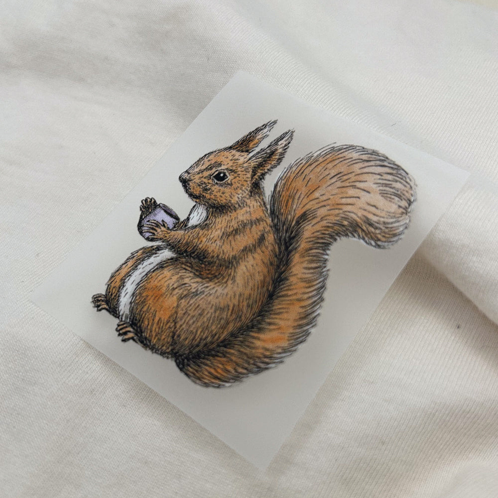 BÜGELBILD | Eichhörnchen Fritz