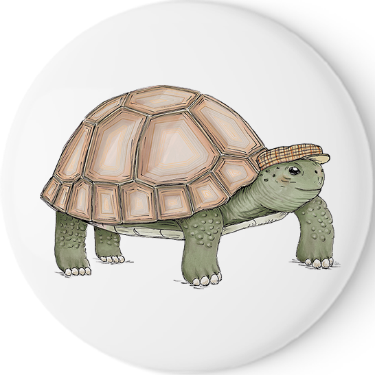 Schildkröte Kurt