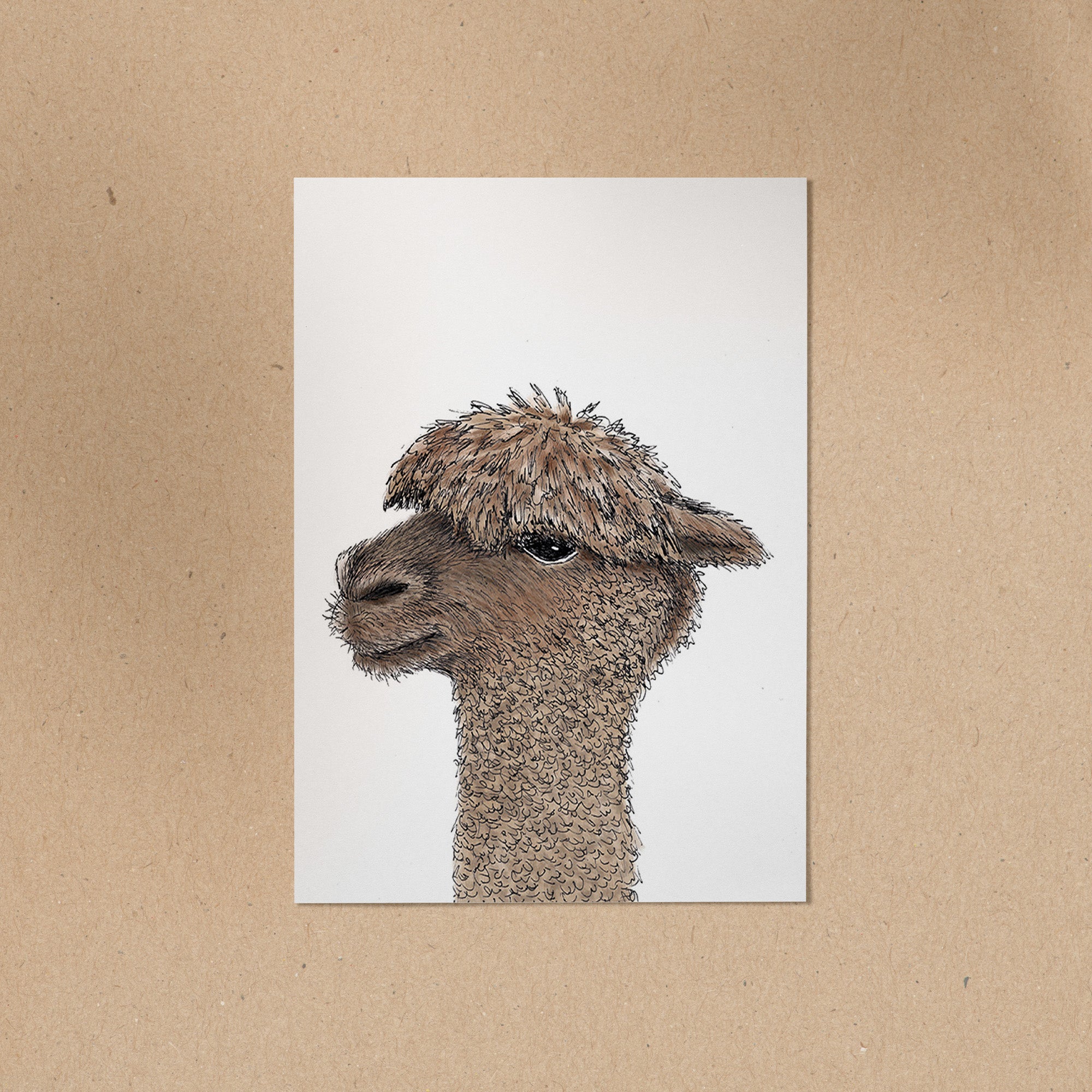 POSTKARTE | Alpaka Ingo
