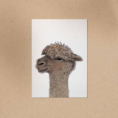 POSTKARTE | Alpaka Ingo