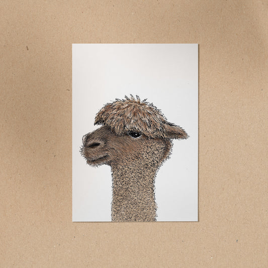 POSTKARTE | Alpaka Ingo