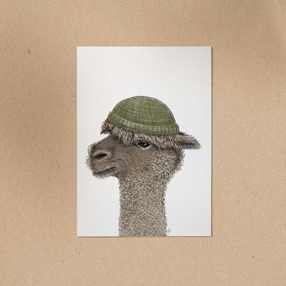 5  POSTKARTEN | Set 5