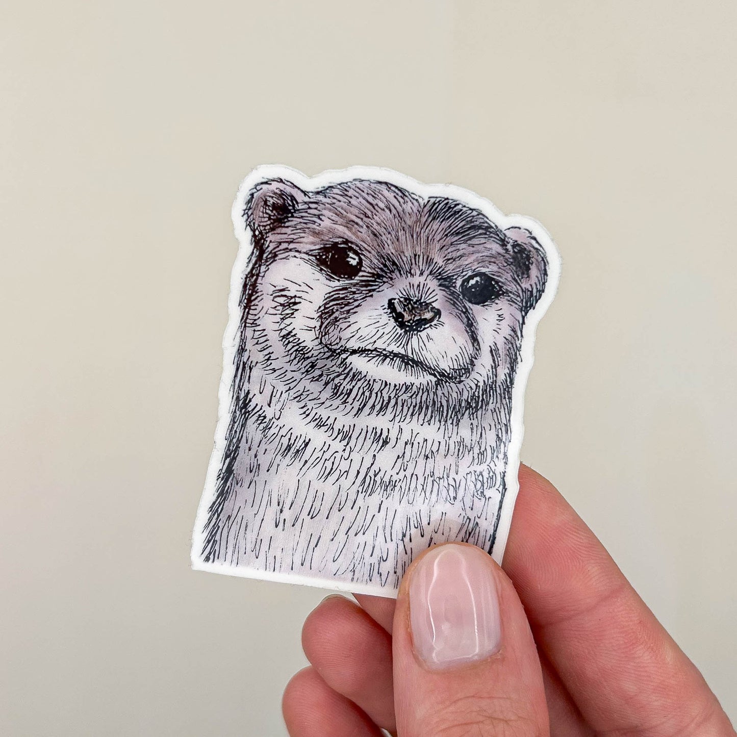 STICKER | Otter Fiete - transparent