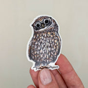STICKER | Eule Hermine - transparent
