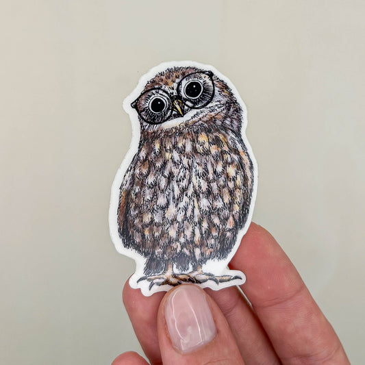 STICKER | Eule Hermine - transparent