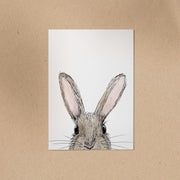 POSTKARTE | Kaninchen Lotte